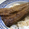 IMG_4620.jpeg