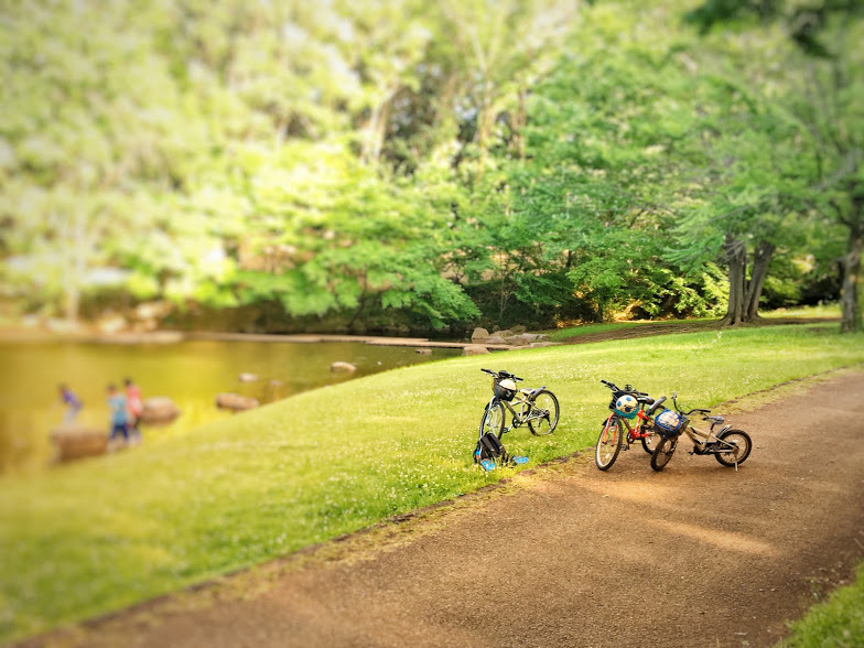 一本杉公園内.JPG