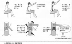 上肢運動における姿勢制御.jpg