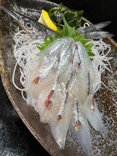 本日のおすすめ
