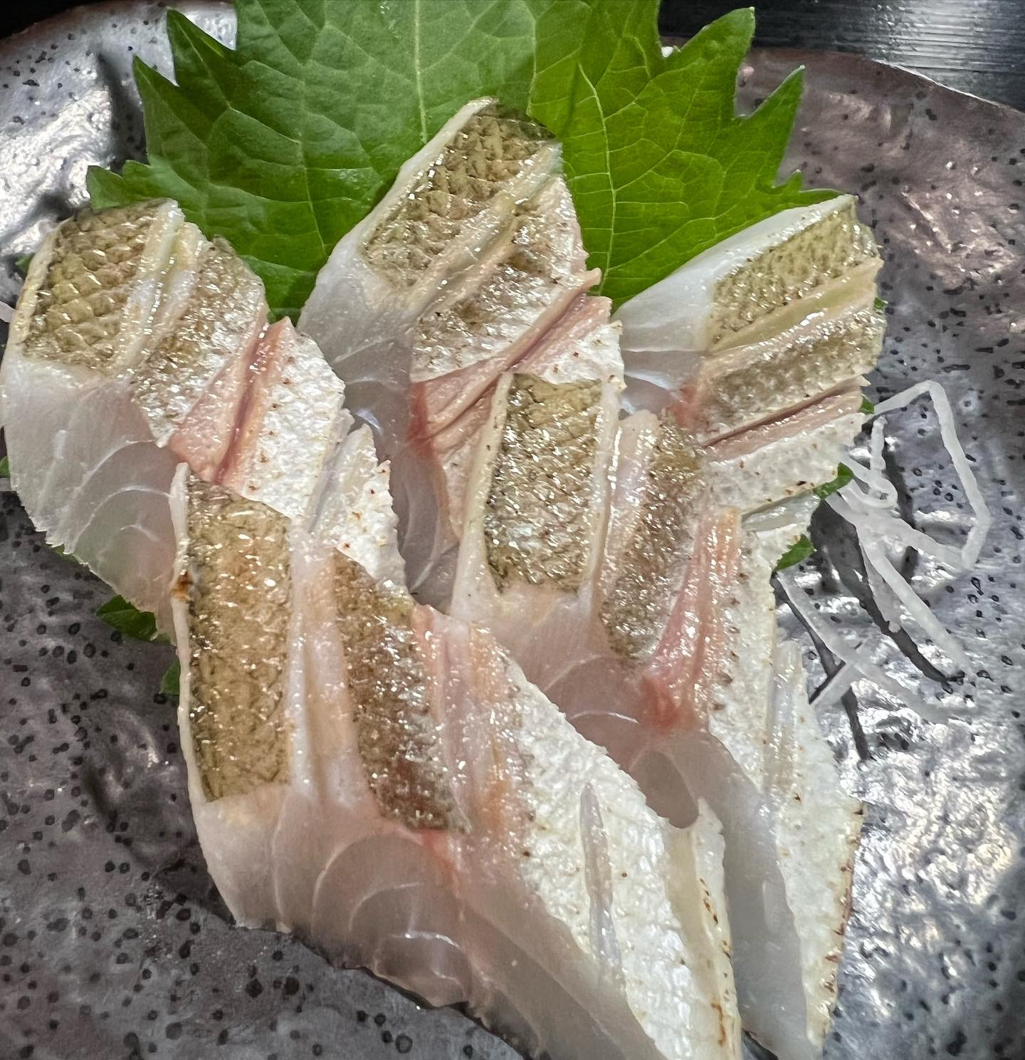 本日のおすすめ