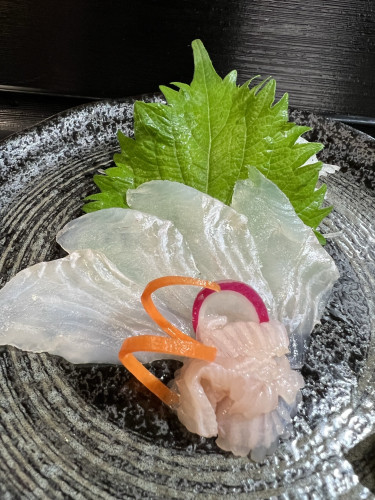 本日のおすすめ