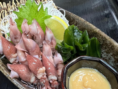 本日のおすすめ