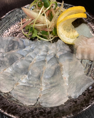 本日のおすすめ