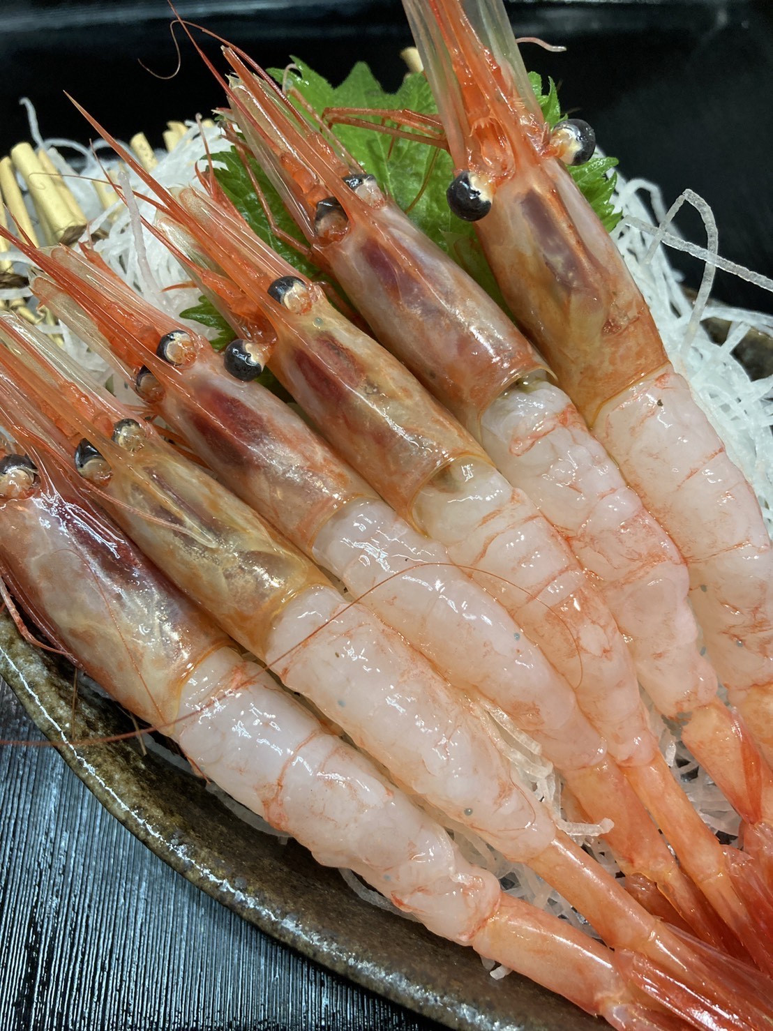 本日のおすすめ
