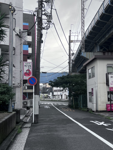 IMG_6667.jpeg