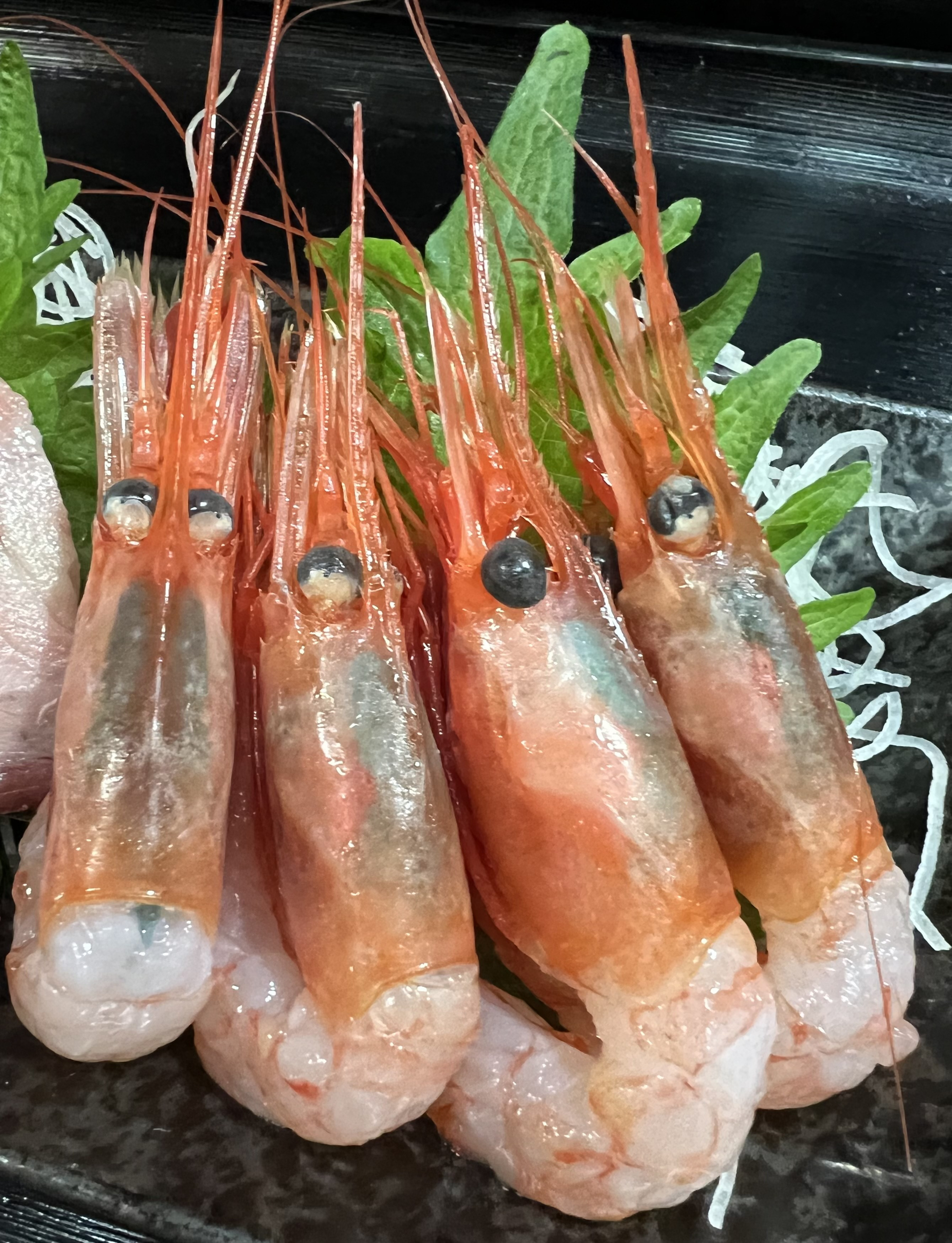 本日のおすすめ