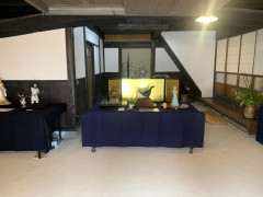 IMG_5599.jpeg
