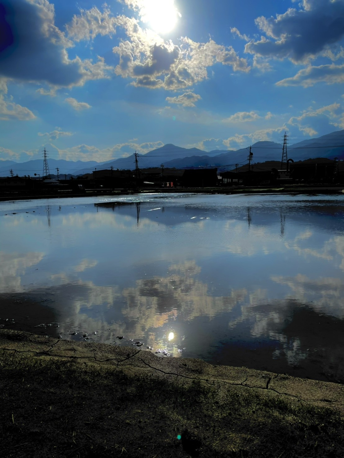 薫風ブレンド発売しました