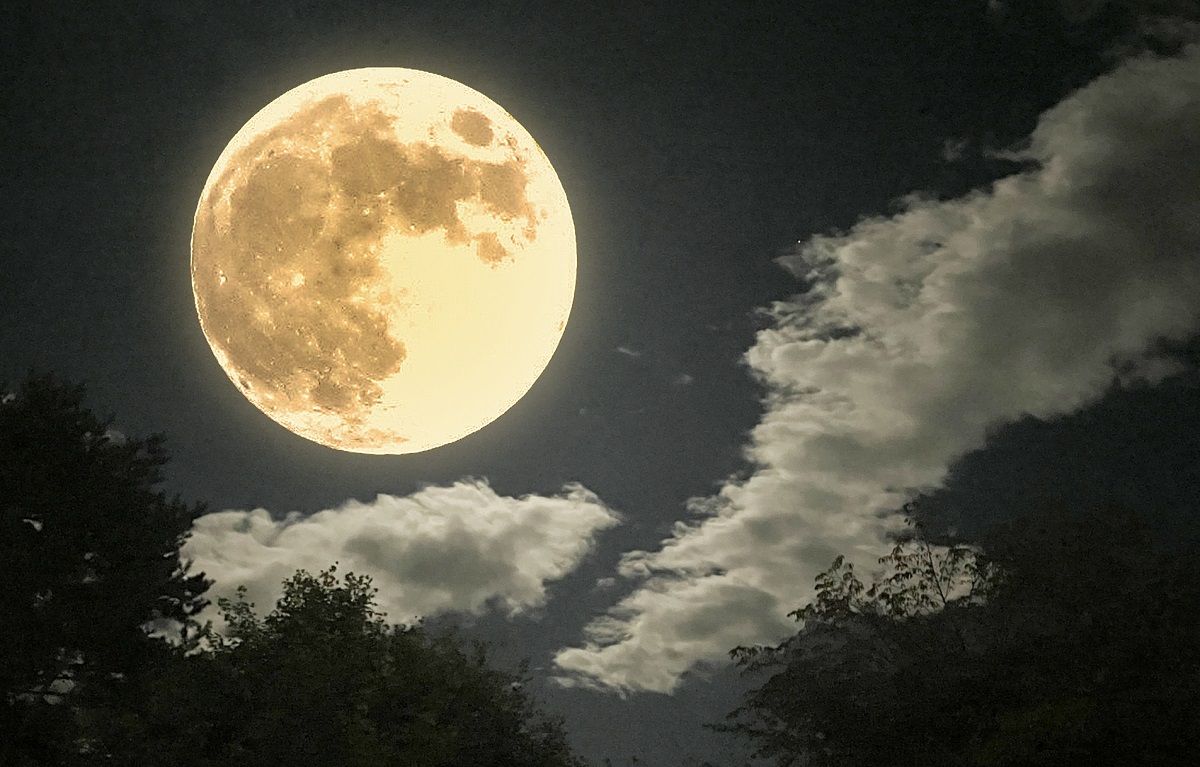夜長ブレンド発売しました