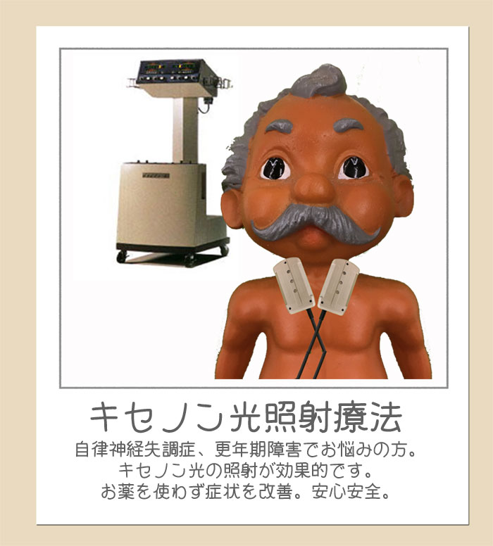 ホームページ使用Xe.jpg