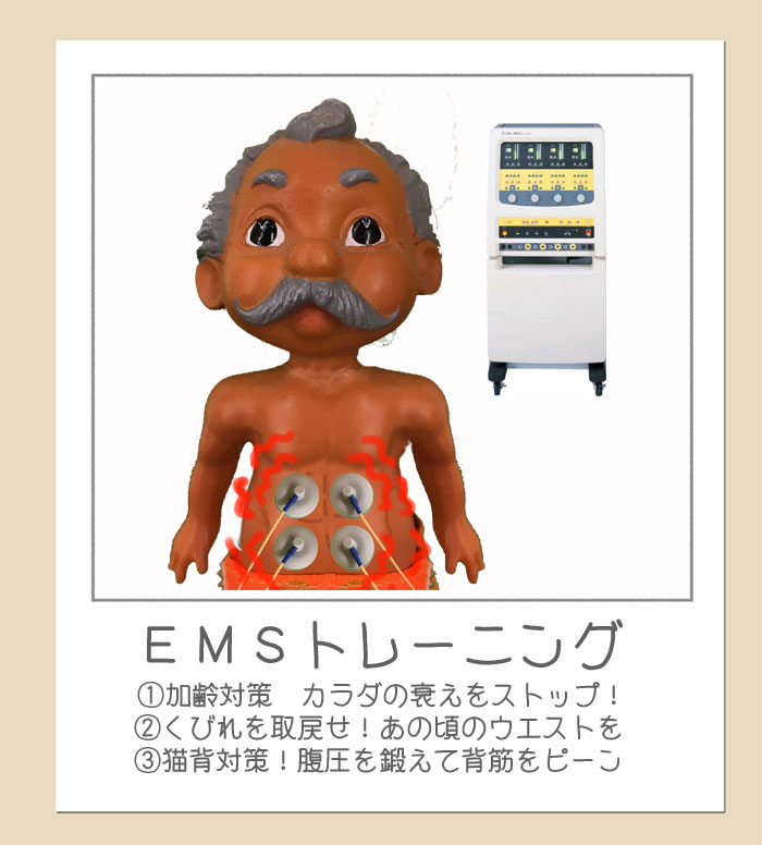 ホームページ使用ＥＭＳ.jpg
