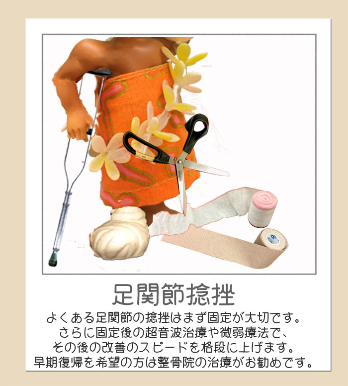 ホームページ使用固定.jpg