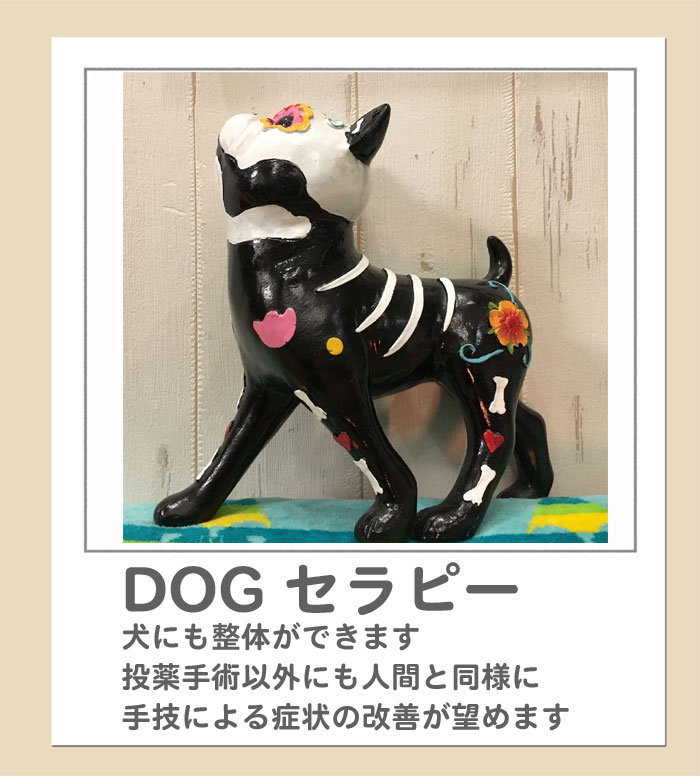 ホームページ使用dog2019ver2.jpg