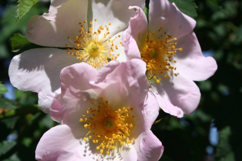 Life Shift 50+ ～50代からのセルフリデザイン～