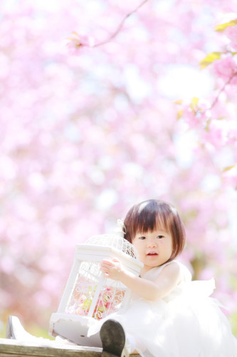 1704sakura_007.JPG
