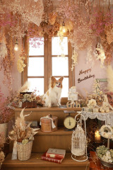26wanko_sample_246.JPG