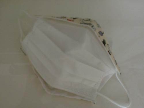 CIMG8840.JPG
