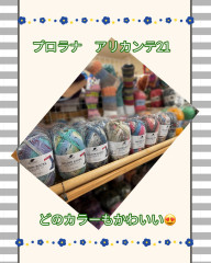 S__80797723.jpg
