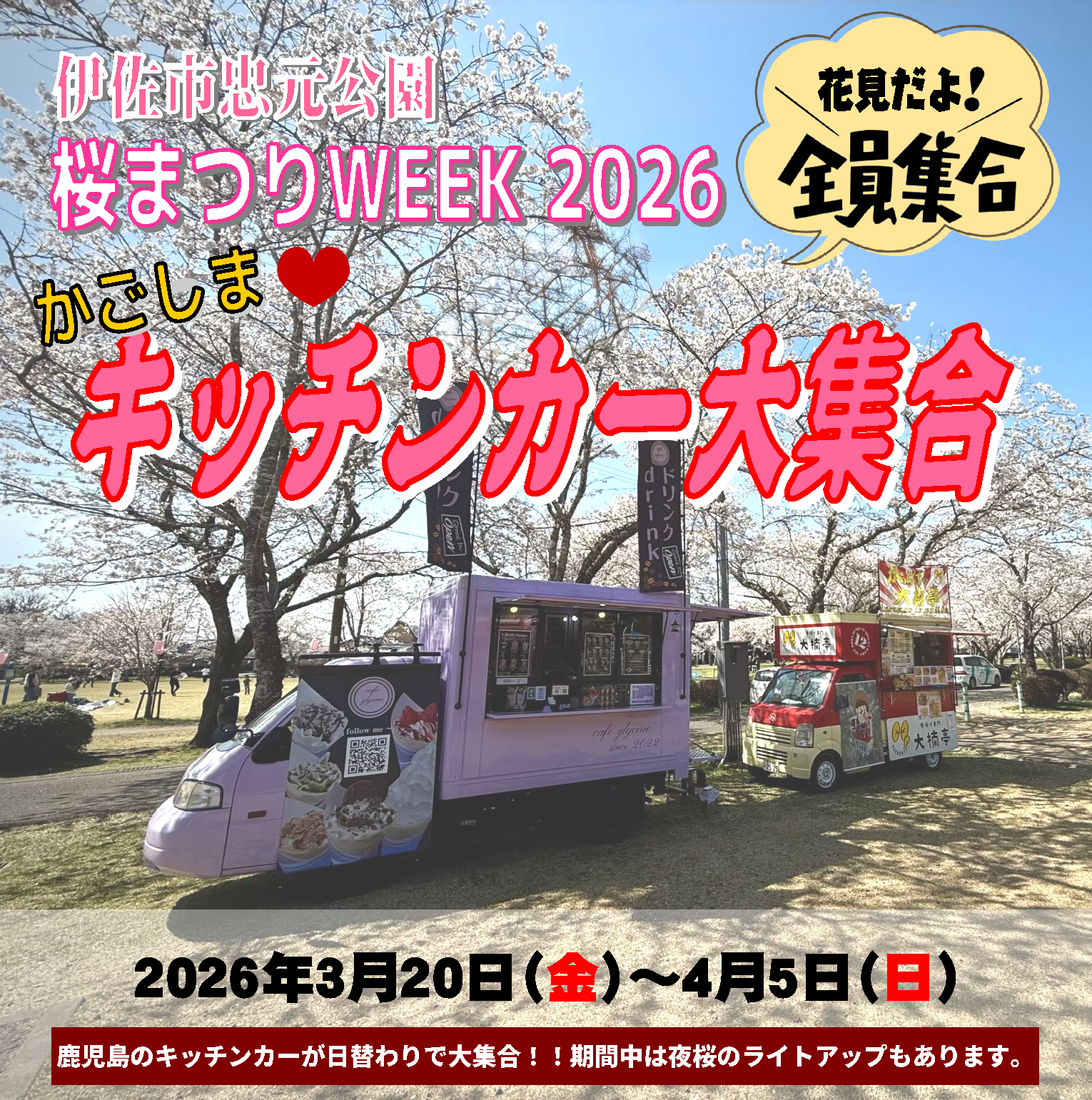 ＼＼\ 春が来た‼️忠元公園さくらウィーク‼️ //／／