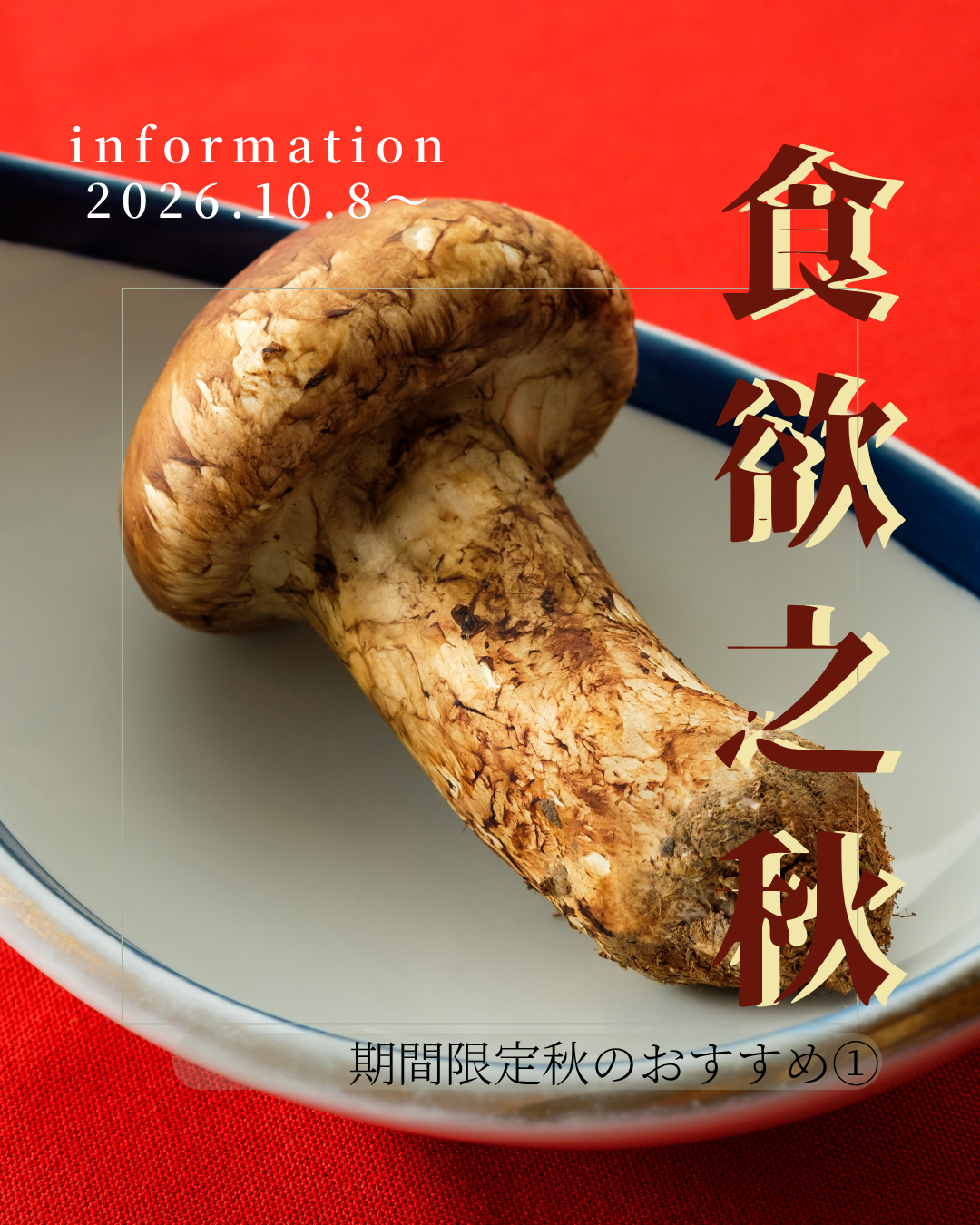 秋の限定メニュー　松茸のご案内