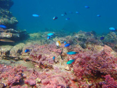 IMG_4042.jpeg