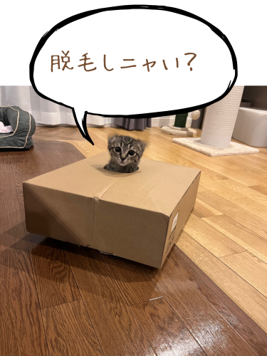 72D08133-61A3-481C-9955-2A3AC9E1E641.png