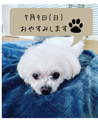 4355F504-F218-4061-B8EE-84ECDB2BA48F.png