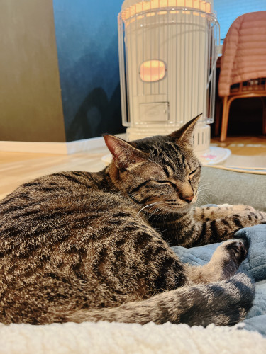 IMG_0960.jpeg