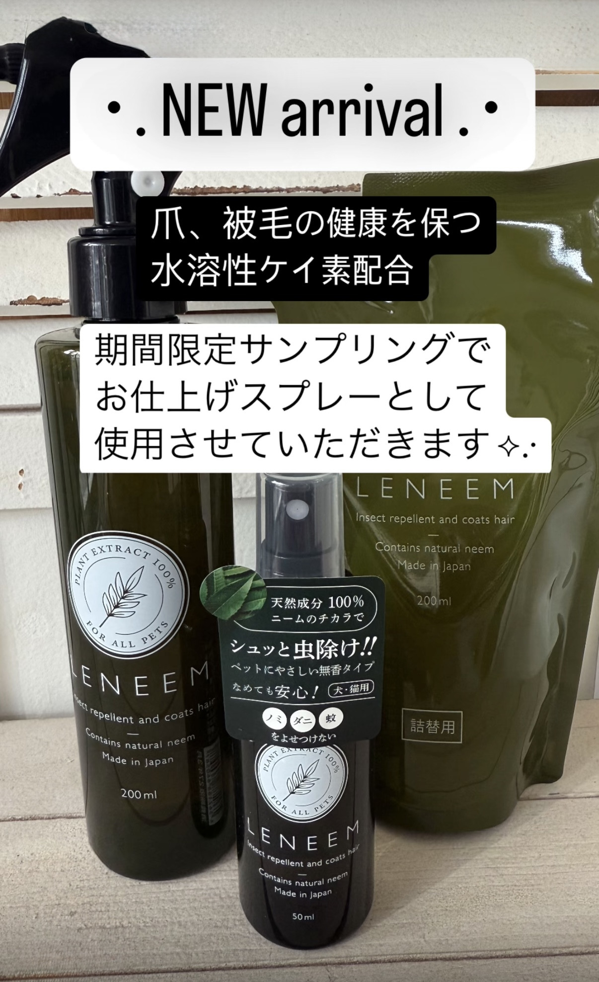 ＊NEW arrival＊