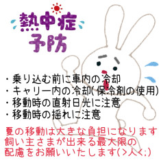 IMG_6597.jpeg