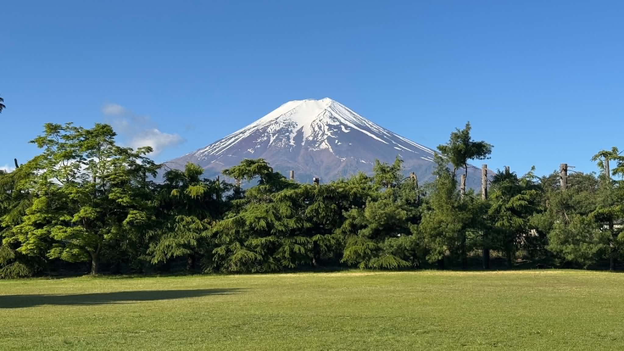 夏休みのお知らせ