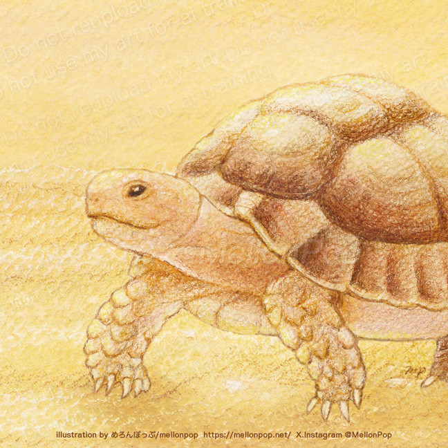 2026年 1月の壁紙配布中