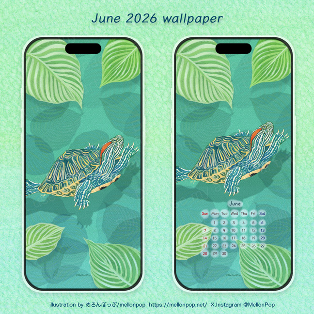 instawp202606.60b.jpg