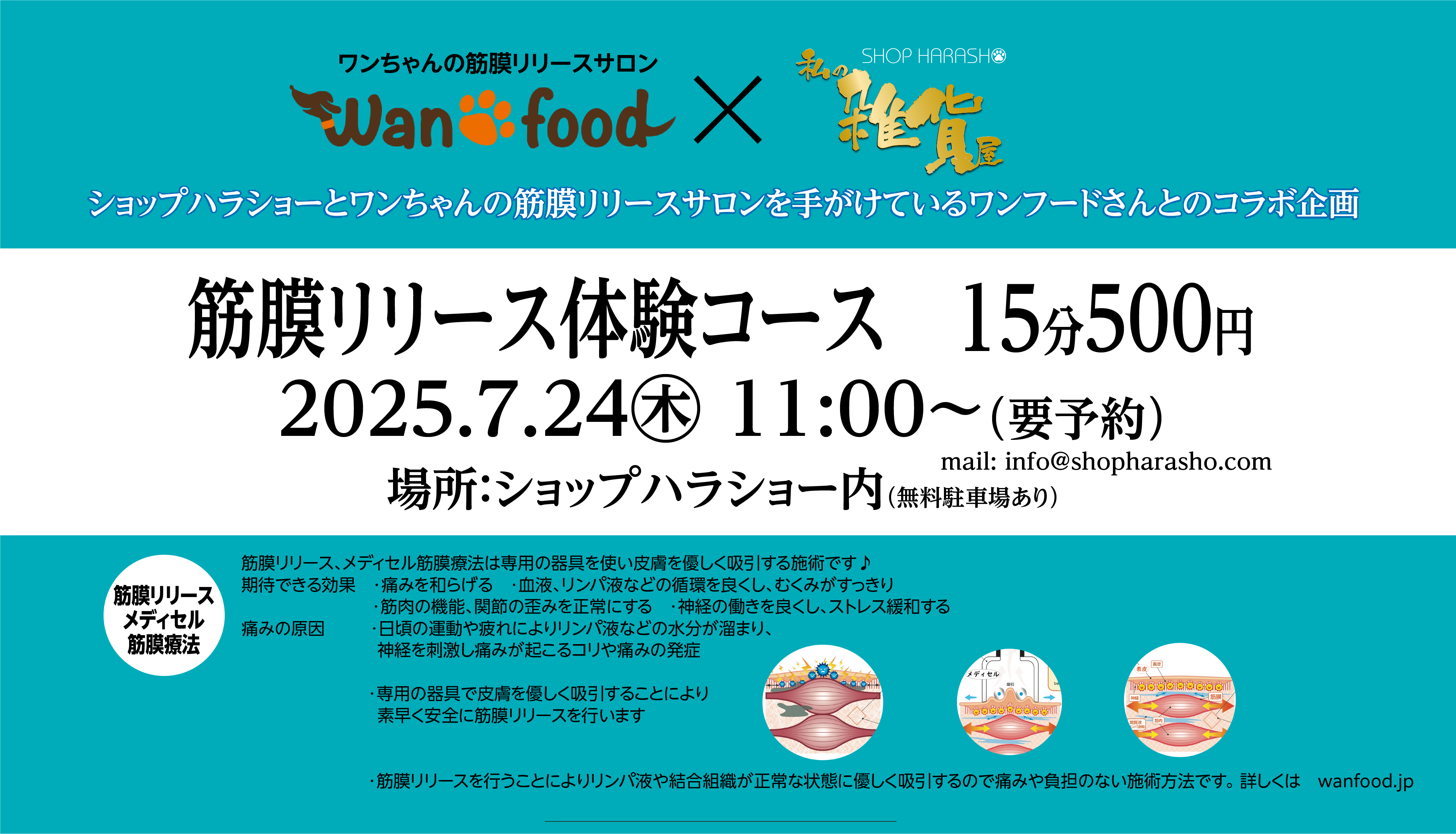 ワンちゃんの筋膜リリースサロンのワンフードさんとコラボ　7/24