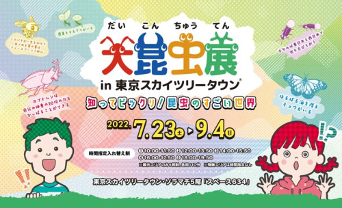 大昆虫展inスズメバチ講座
