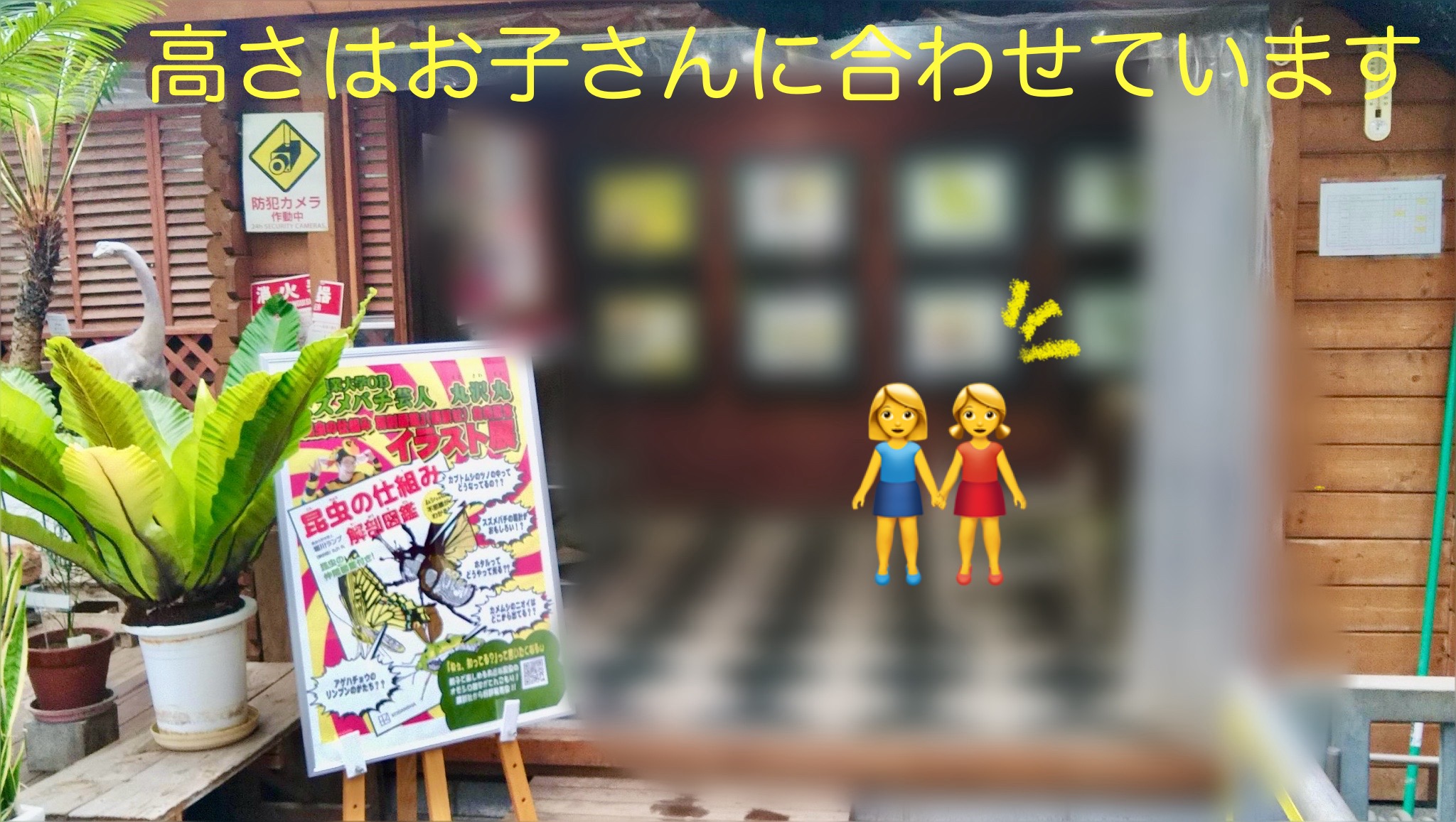 『昆虫の仕組み 解剖図鑑　イラスト展』開催中