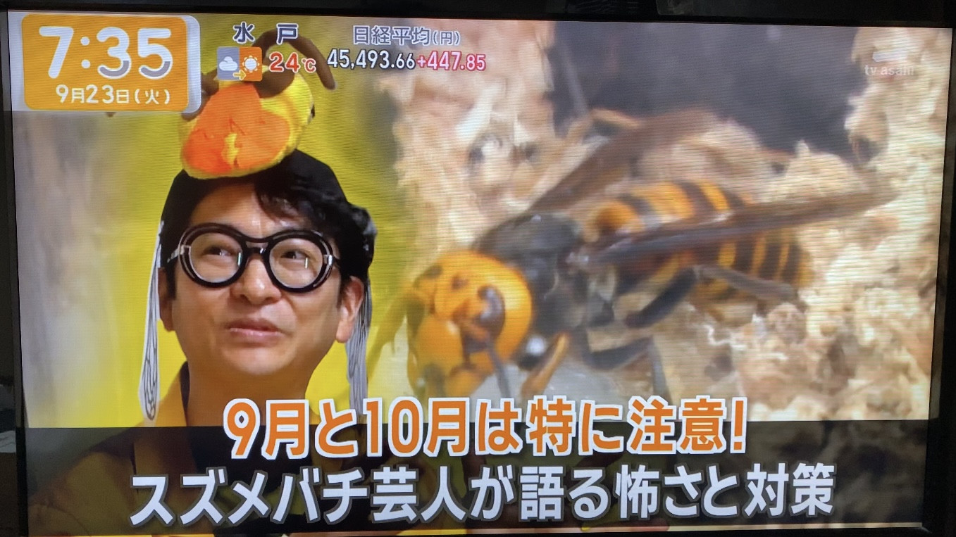 テレビ朝日『グッド！モーニング』丸沢出演