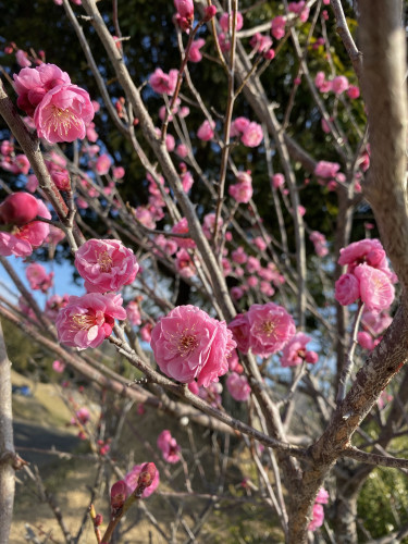 3月のご予約空き状況カレンダー✨更新しました