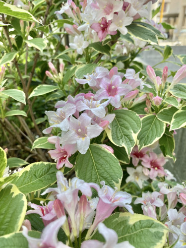 5月のご予約空き状況カレンダー更新しました✨
