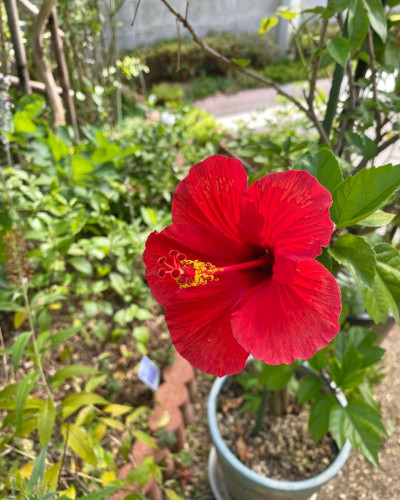 8月のご予約空き状況カレンダー✨更新しました🌿