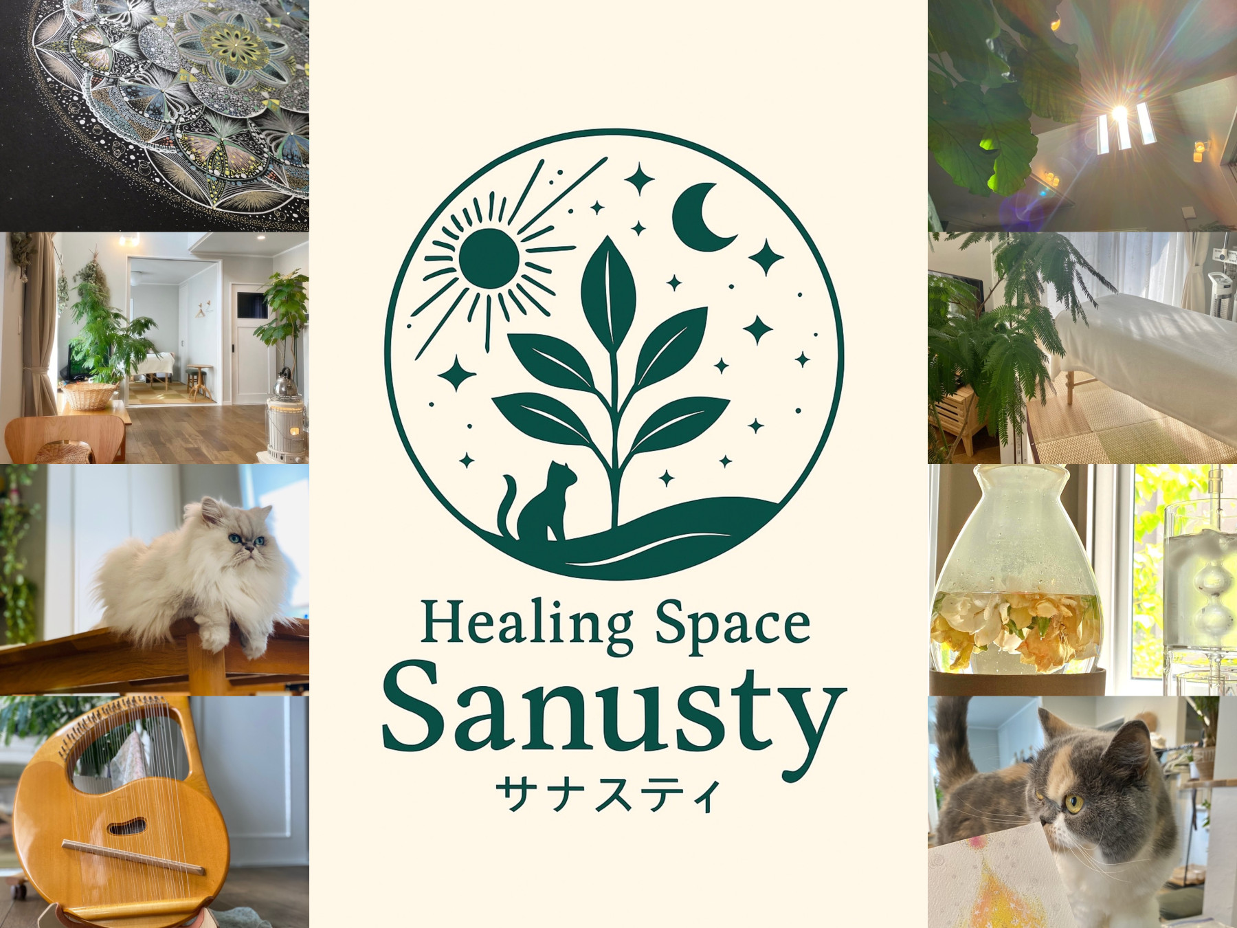 Sanusty *ｻﾅｽﾃｨ*