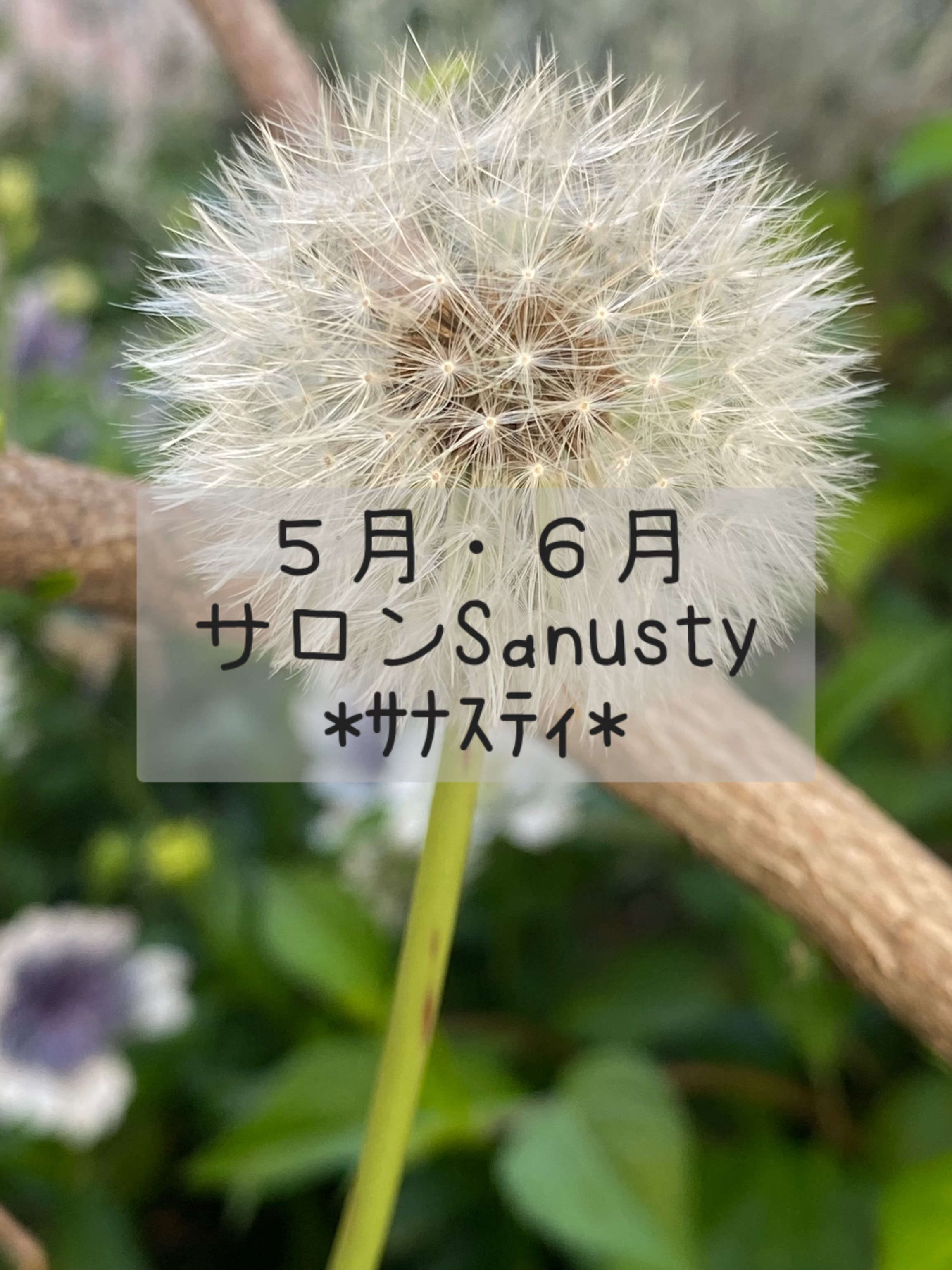 5月・6月のご予約空き状況カレンダー更新しました🍃