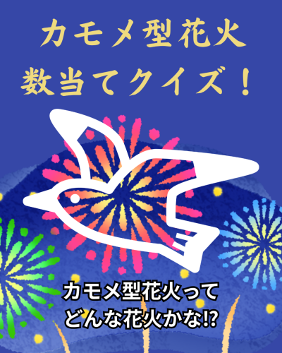 カモメ型花火 数当てクイズ！.png