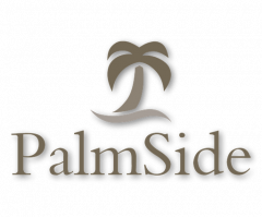 PalmSide