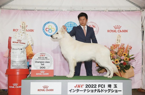 thumbnail_image4.jpg