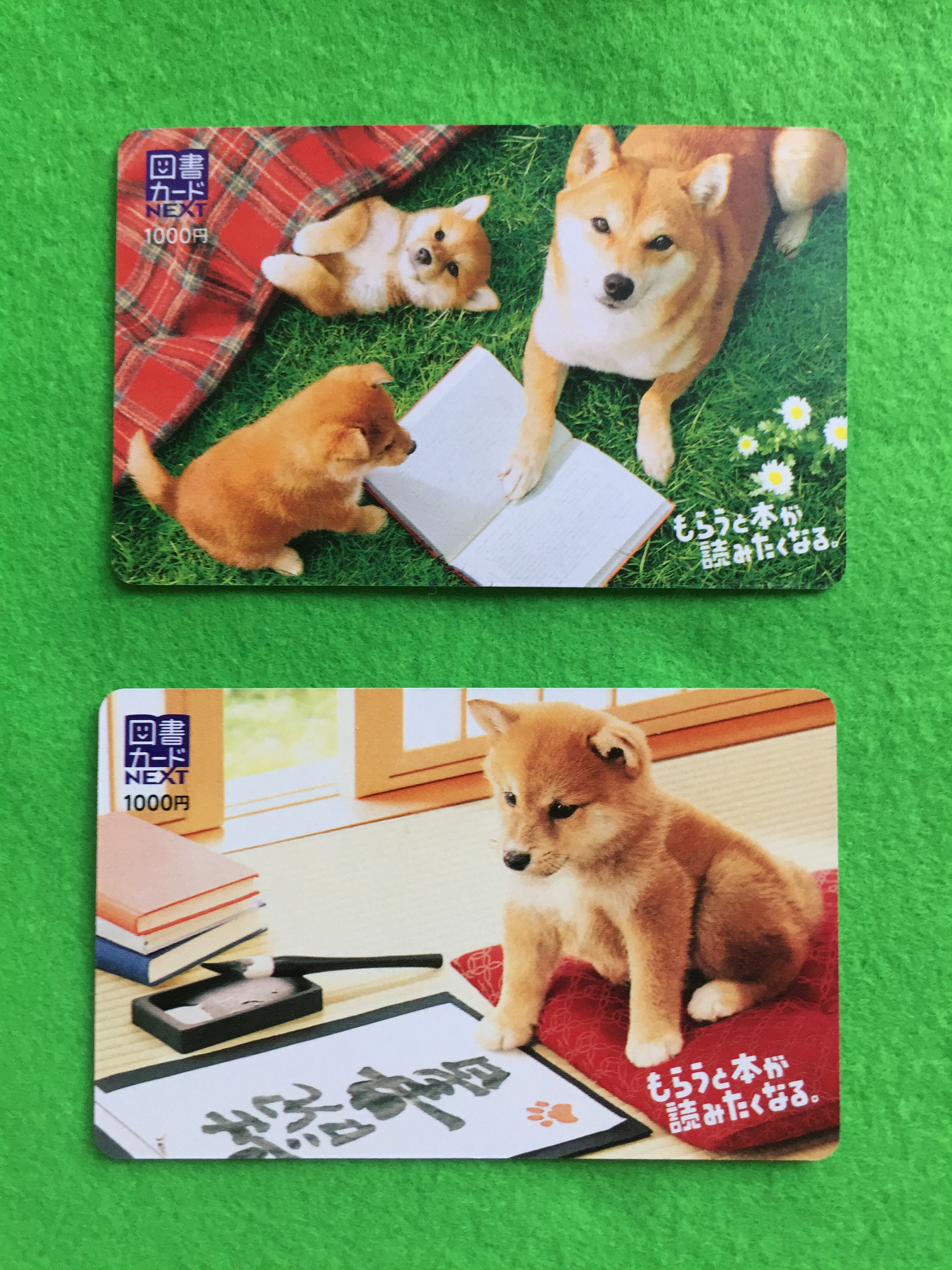 今年も 柴犬 図書カード発売されました 本と文具 布施書店