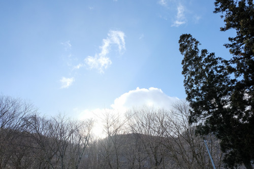 本年もどうぞよろしくお願いいたします