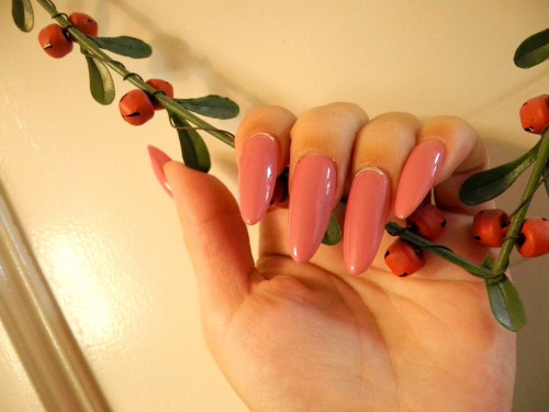 DSCN3178.jpg