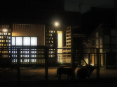 OI000080.JPG